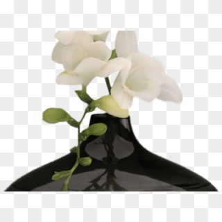 Png Hd Vase Of Flowers Transparent Hd Vase Of Flowerspng - Png Flower With Vase Clipart