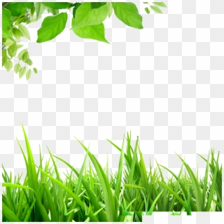 Green Background Hd - Background Xanh Lá Cây Cây Cỏ Clipart