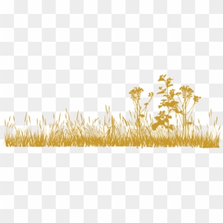 Png Grass All Hd Clipart