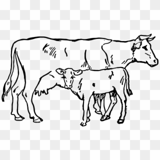 Indian Cow With Calf Png - Election Symbols In India Cow Clipart