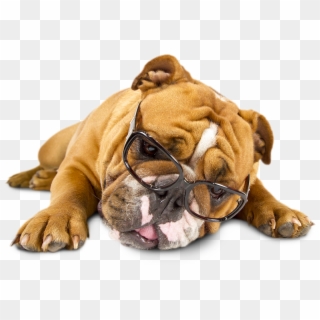 Tired Of Reading - Dog Tired Png Clipart