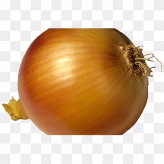 Golden Onions - Луковица Пнг Clipart