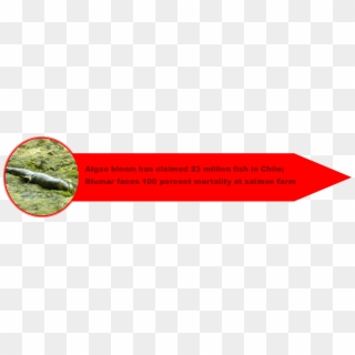 1 Chile Crisis 2 - Carmine Clipart