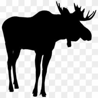 #moose #silhouette #moosesilhouette - Silhouette Clipart