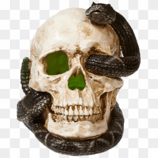 Skull With Snake Clipart