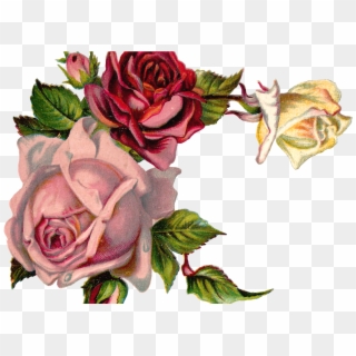 Free Digital Flower Pink Rose Corner Design Clipart