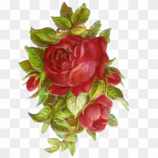 Vintage Flower Png Png - Vintage Red Rose Clip Art Transparent Png