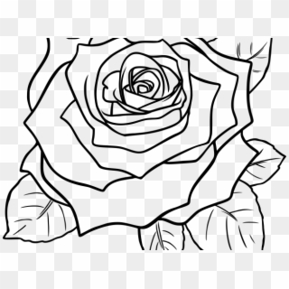 Vintage Flower Clipart Rose Plant - Rose Drawing Black And White - Png Download