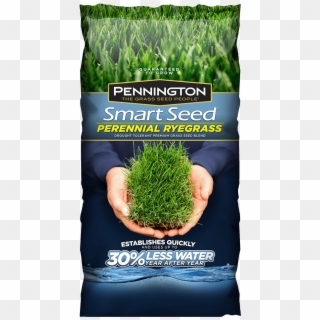 Previous - Shade Grass Seed Clipart