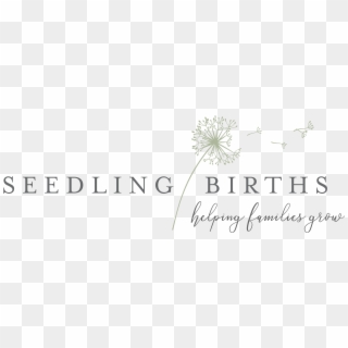 Seedling Births - Medical Tourism Clipart