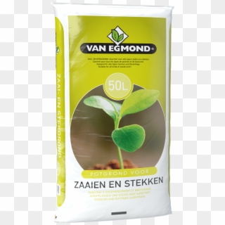 Interested - Van Egmond Potgrond Clipart