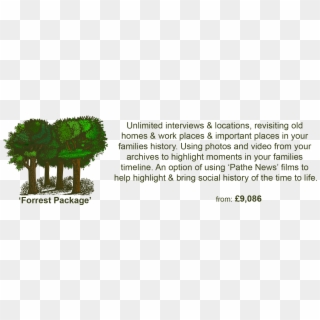 Forrest-package - Shortstraw Pine Clipart