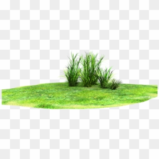 Grass Land Png - Vector Grass Land Png Clipart