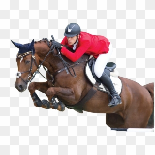 Live Show Jumping Hosted By Budapest, - Horse Jumping Transparent Clipart