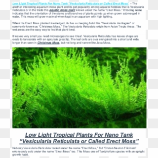 Pdf - Vesicularia Reticulata Erect Moss Clipart