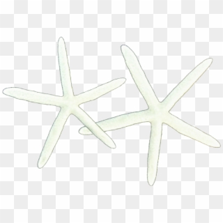 Starfish Clipart Skinny - Starfish - Png Download