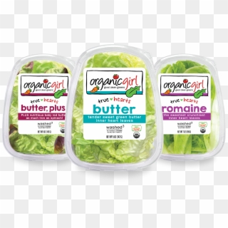Organic Girl Butter Lettuce Clipart