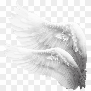 #wings #wing #whitewings #engel #angels #angelwings - Angel Side Wings Png Clipart