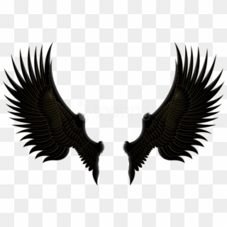 Free Png Download Black Gold Wings Clipart Png Photo - Wings Png Hd Transparent Png