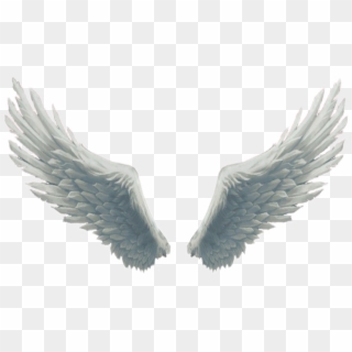 #big #beautiful #white #fluffy #wings #angelwings #angel - Angel Wings For Editing Clipart