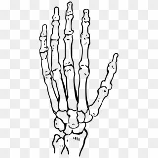 Of The Big Image Png - Skeleton Hands Clipart Transparent Png