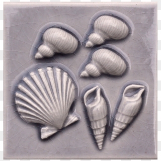 154-snails Cockle Phos Shells - Baltic Clam Clipart
