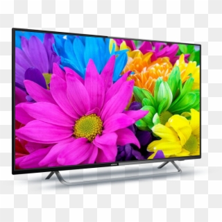Intex Led Tv 4300 Full Hd With Panel Size 108 Cm - Different Colors Of Flower Clipart