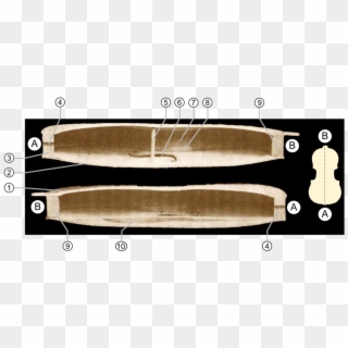 Sound Post On A Violin Clipart