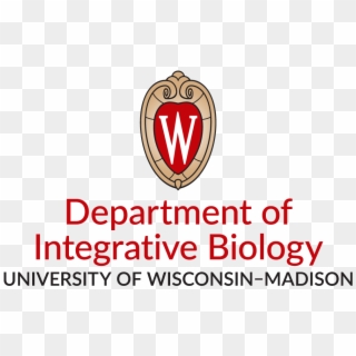 4-color Centered Logo - University Of Wisconsin-madison Clipart
