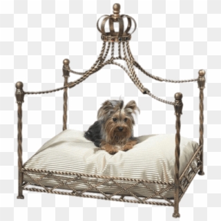 Download - Crown Dog Bed Clipart
