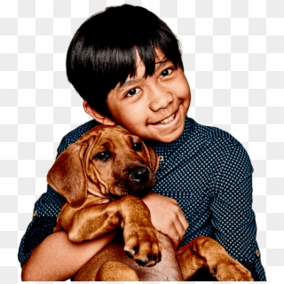 Medibank Pet Insurance - Companion Dog Clipart