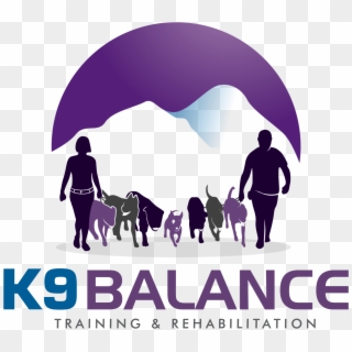 Why Do So Many Trainers Cringe At This Term K9 Balance - Alliance Physio Solutions Ahmedabad Clipart