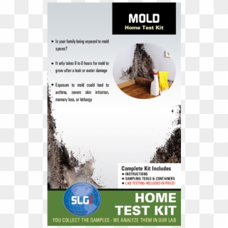 Mold Test Kit 5 Pk Schneider Labs - Redwood Clipart