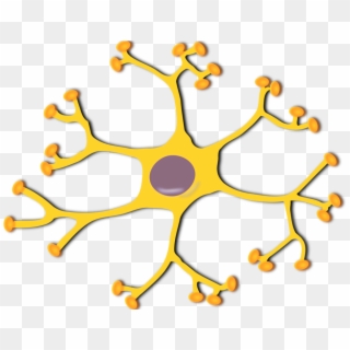Banner Royalty Free Neuron Interneuron Medium Image - Brain Neurons Clipart - Png Download