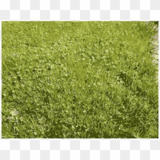 This Free Icons Png Design Of Grass Details In Missouri - Lawn Clipart