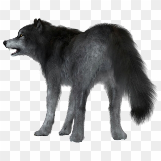 Wolf Tail Clipart