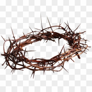 Crown Of Thorns Png Transparent Image - Crown Of Thorns Png Clipart