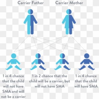 Noncarriers Of Sma Have 2 Copies Of The Smn1 Gene, - Atrofia Muscular Espinal Genes Clipart
