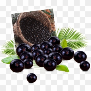 Acai Berry Png - Blueberry Clipart