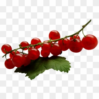 Download Redcurrant Png Image - Seedless Fruit Clipart
