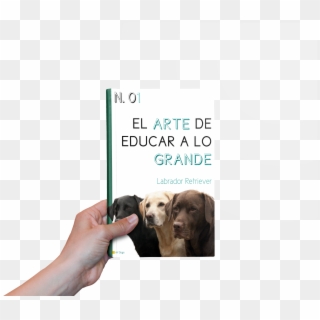 Colección De Libros - Companion Dog Clipart