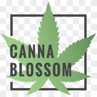 Use Coupon Code At Cart Page - Canna Blossom Ca Clipart