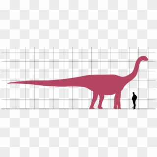Patagosaurus Scale - Dinosaur Clipart