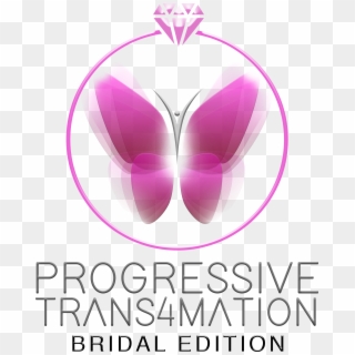 07 Feb Progressive Trans4mation Logo Update 2018 - Graphic Design Clipart