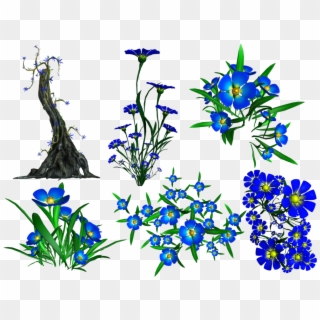 Forget Me Not Png Transparent Image - Lobelia Clipart