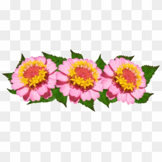 Flowers, Arrangement, Pink, Floral - Common Zinnia Clipart