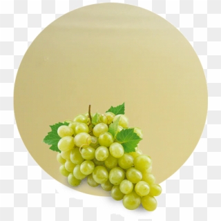 Com/wp Grape Concentrate - Seedless Fruit Clipart