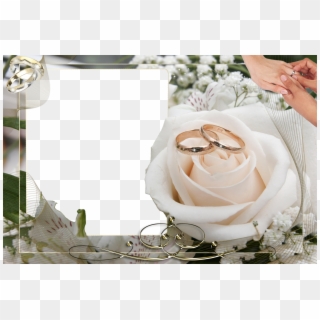 Frames Png - Wedding Rings On Flowers Clipart