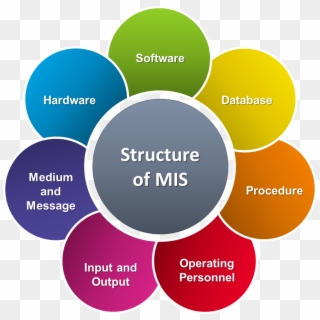 Mis Image For Wiki - Structure Of Management Information System Clipart