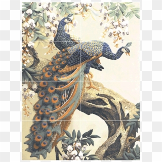 Peacock Poster - Painting By Number Peacock Clipart